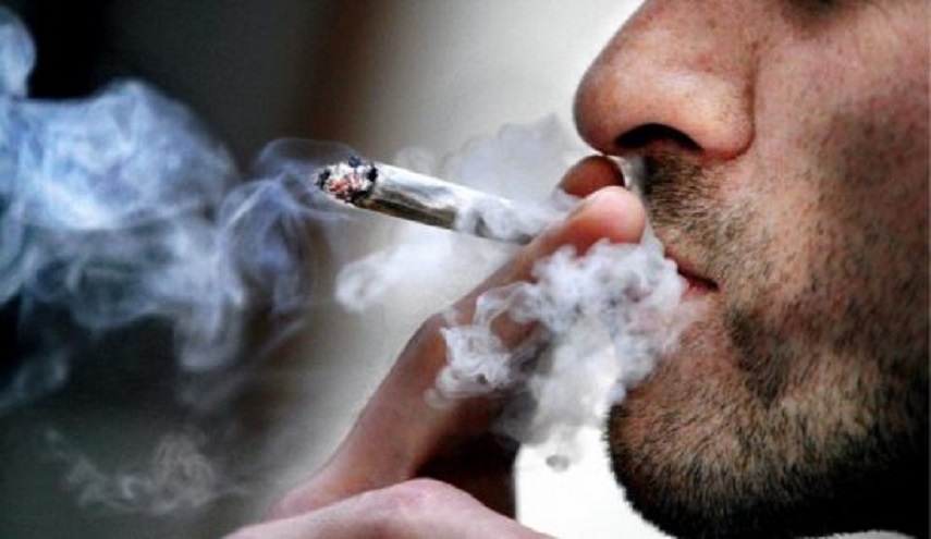 الدول الأكثر تدخيناً للحشيش في العالم.. بينها 3 دول عربية