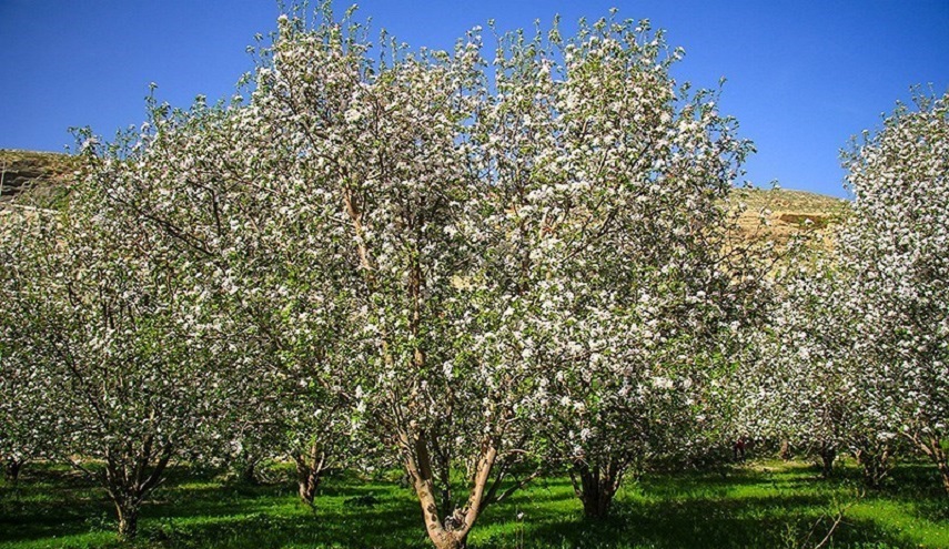 جمال الطبيعة في ’’شيروان‘‘ شمال شرق إيران