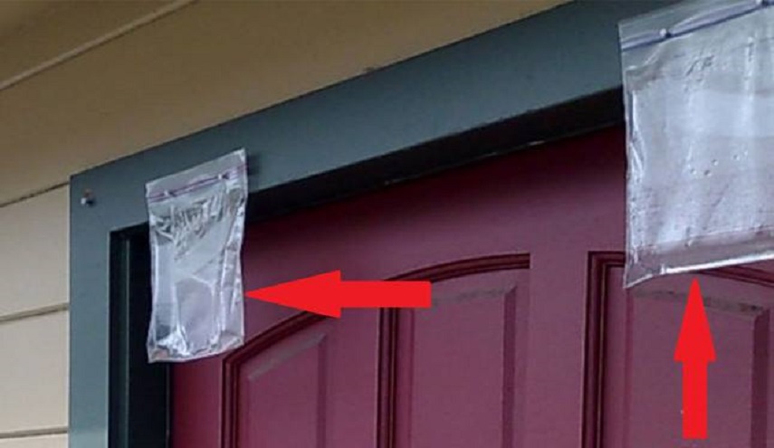  لهذا السبب ضعوا هذه الأكياس أمام منازلكم في الصيف!