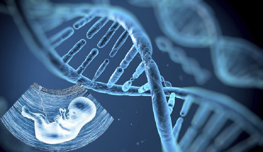 جدل بين العلماء بعد اكتشاف تقنية لتكوين أطفال معدلين وراثيا