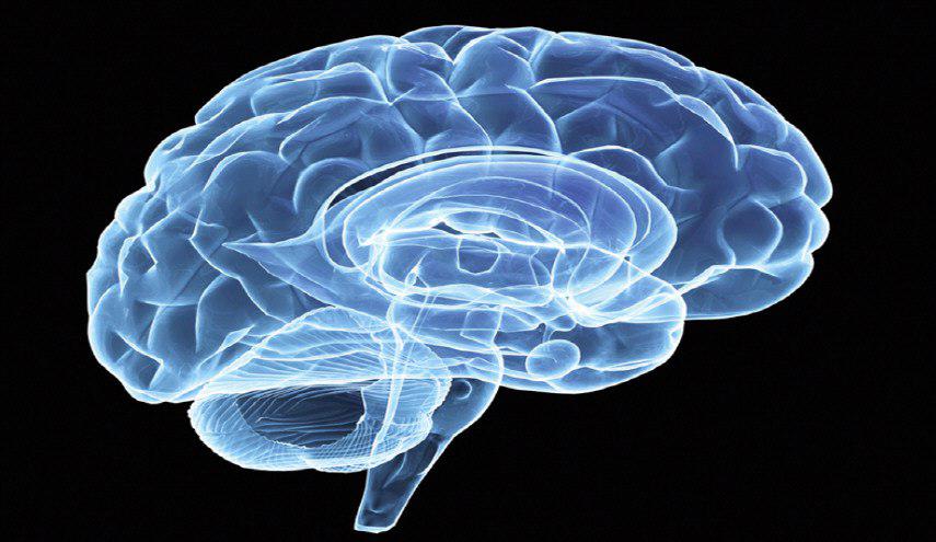 هذه هي أفضل الأطعمة لتعزيز وظيفة الدماغ