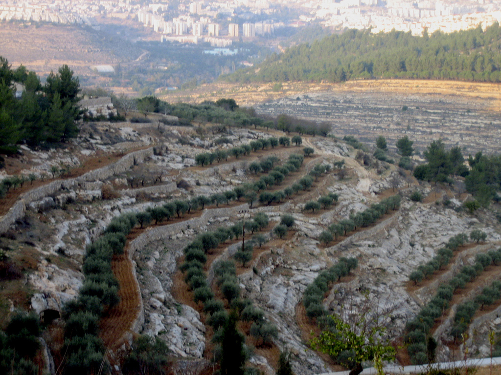 نمودهای طبیعی زمین در فلسطین