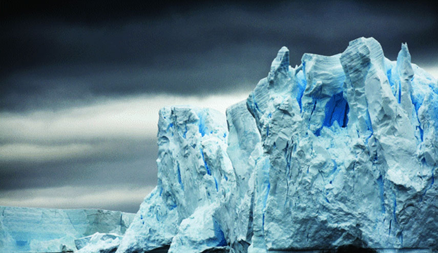 اكتشاف سر تطور الحياة من 650 مليون سنة!!