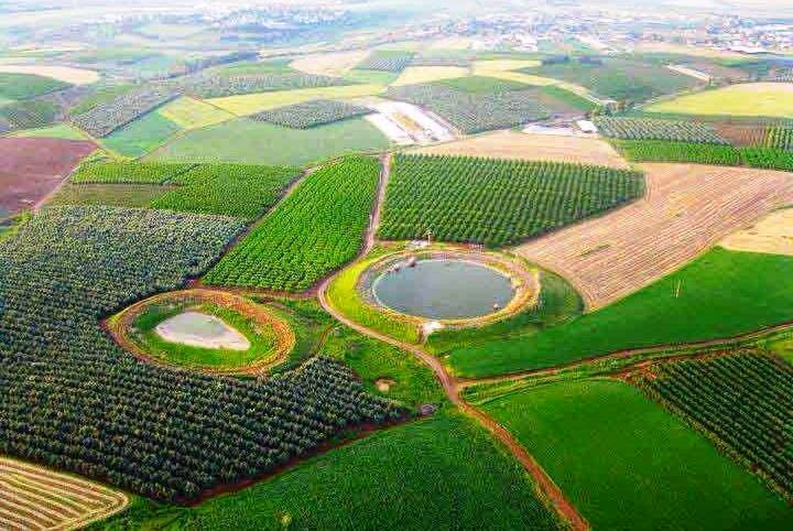 فرورفتگی های فلسطین