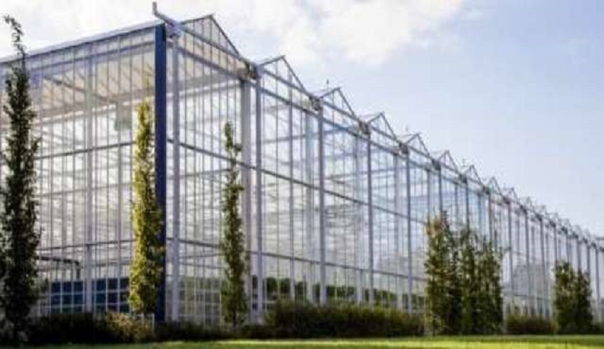 بناء أكبر دفيئة زجاجية في الشرق الاوسط في غرب ايران