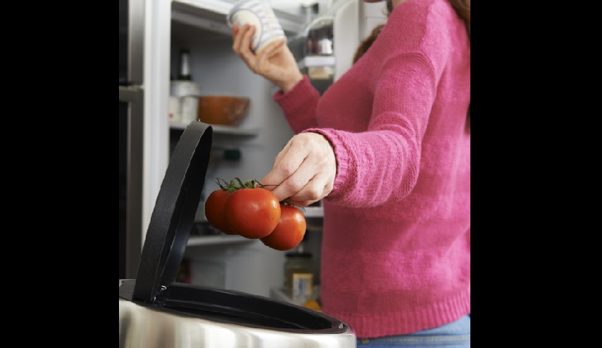 انس الطماطم الفاسدة في الثلاجة.. علماء يبتكرون ورق تغليف من "الطين"