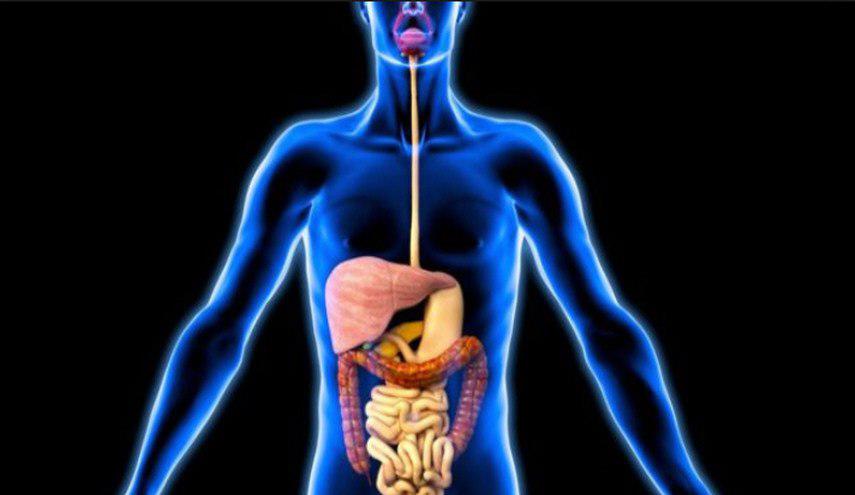 هذه الفواكه تحمي جهازك الهضمي في عيد الاضحى