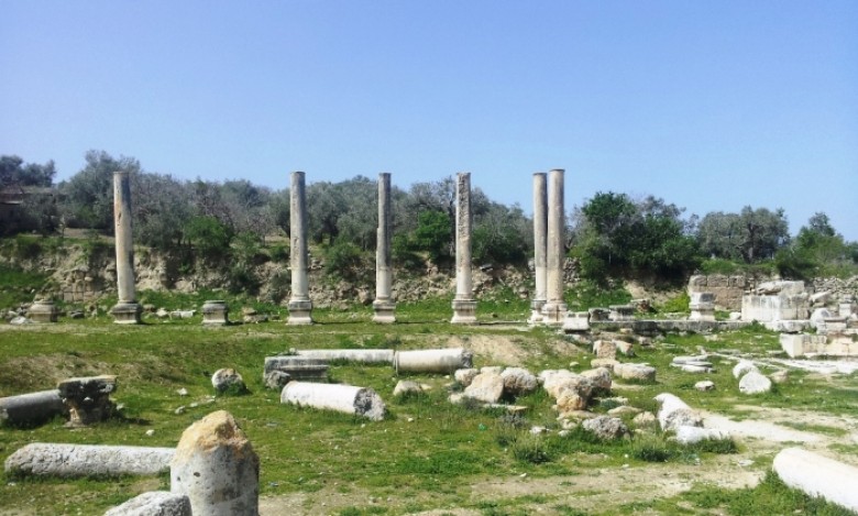 آشنايي با اقوام فلسطين: حويها