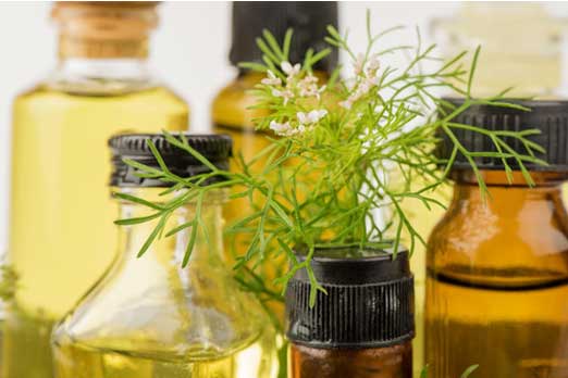 9 فوائد ذهبية لزيت الكزبرة .. أهمها تسكين الآلام!