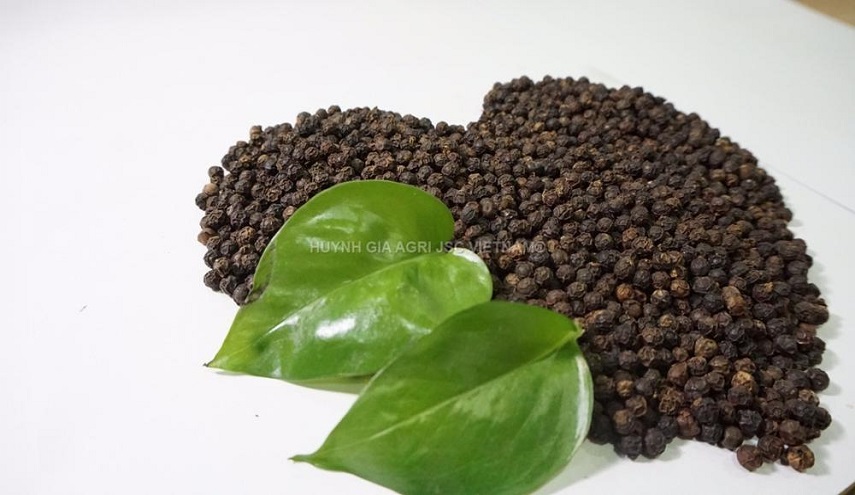 تناول الفلفل الأسود يوميًا يحافظ على جمالك وصحتك