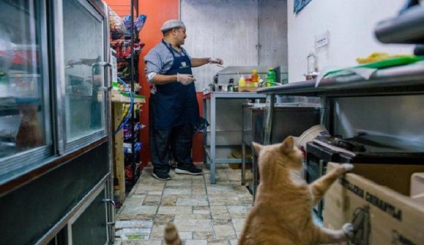 محلل سياسي" شهير يجري مداخلاته من غرفة غسيل أطباق بالمطعم؟!