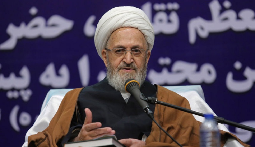 المرجع السبحاني: القرآن الكريم ينفي تحديد النسل ويؤكد على النمو السكاني