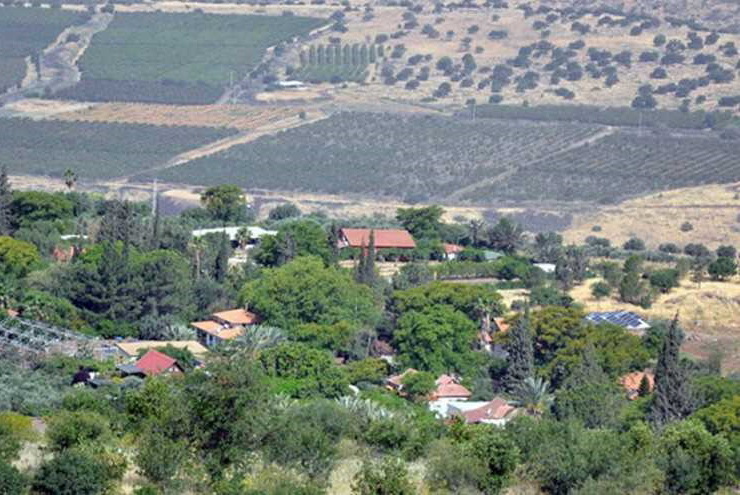 الكيان الصهيوني يسقط طائرة بدون طيار قادمة من سوريا