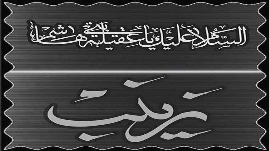 زينب عليها السلام تضحيات ومواقف 