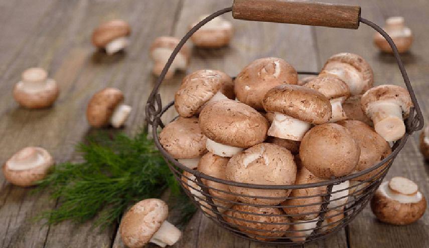 إذا تناولت الفطر وشعرت بهذه الأعراض.. عليك بالطبيب فوراً!