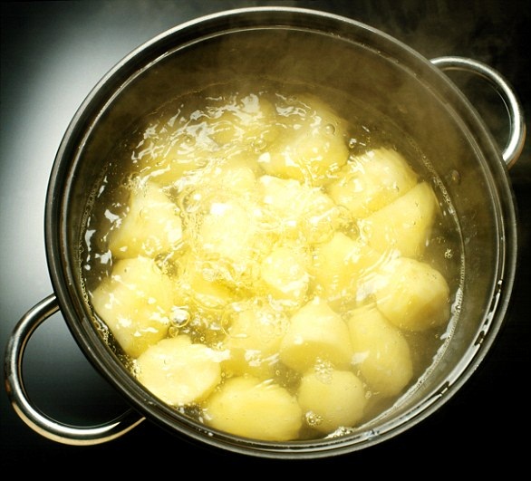 ضع الزهور في ماء البطاطس المسلوقة وشاهد ماذا يحدث