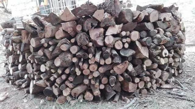 بالصور.. أساليب بدائية لمواجهة البرد القارس في جبال كردستان