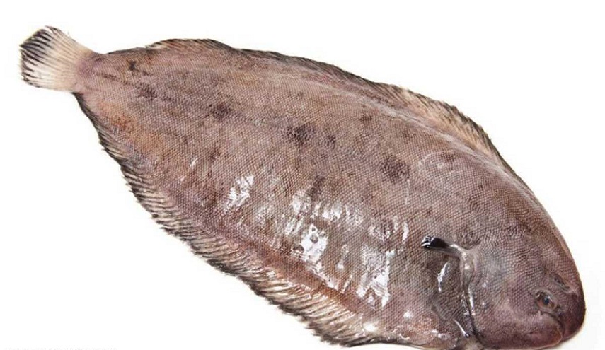 سمكة طولها 14 سنتيمترا كادت أن تقتل رجلا