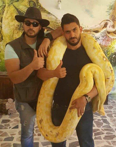 شاهد ماذا فعلت افعى بـ"خبير افاعي" اثناء مقابلة تلفزيونية!