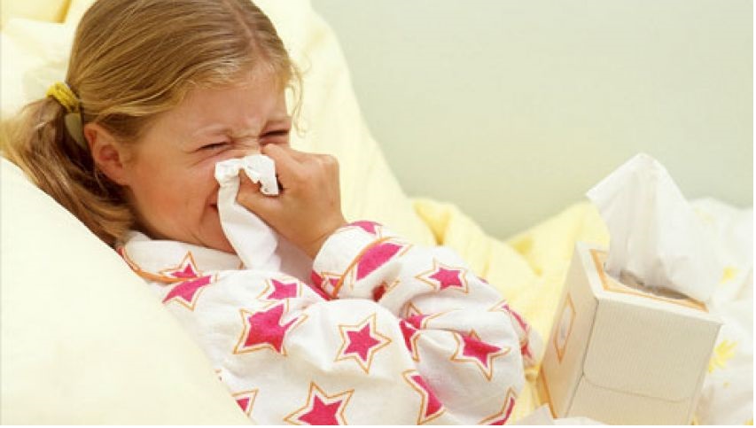 علاج البرد بالاعشاب.. أهم الأنواع و طرق استخدامها 