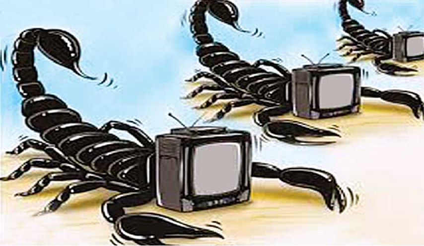 فضائيات الفتنة : المخاطر و العلاجات