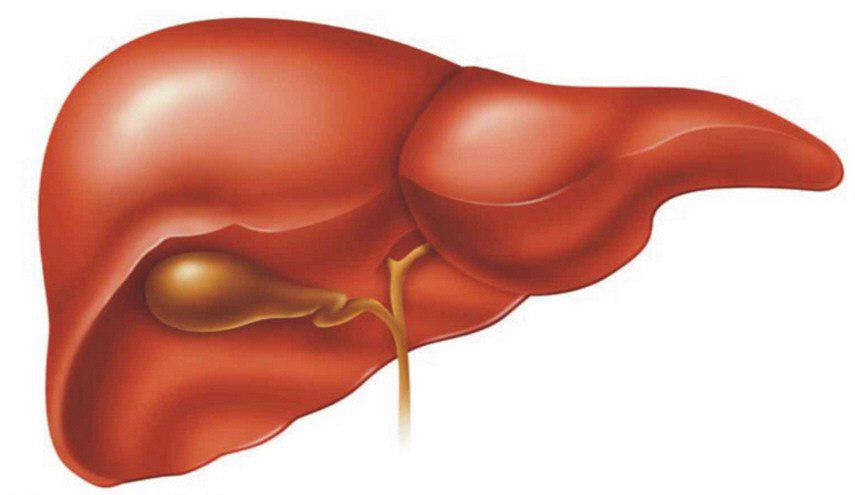 أطعمة تحمي الكبد من تراكم السموم