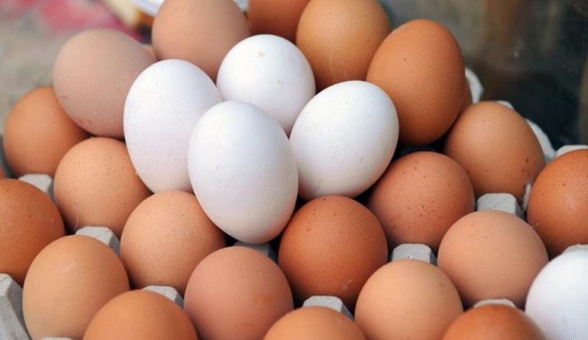 لماذا البيض البني أغلى من البيض الأبيض؟
