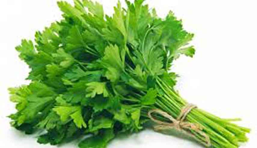 البقدونس يحمي من نمو السرطان