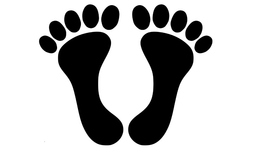 7 حقائق عن الأقدام السوداء الذين يريدون إقامة دولة لهم في الجزائر