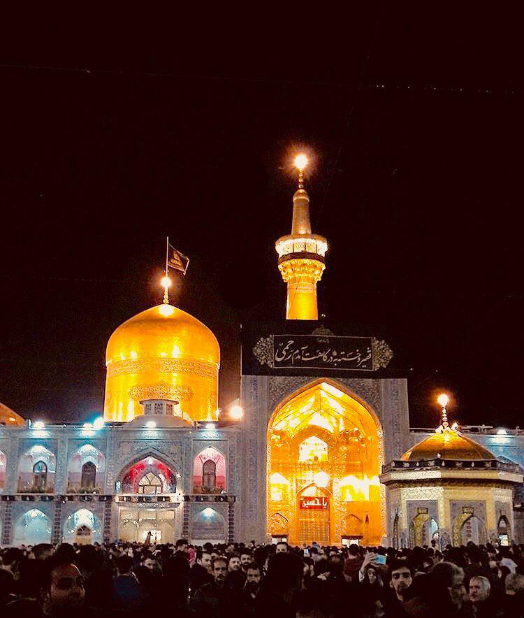 النصوص الواردة بشأن الامام الرضا عليه السلام