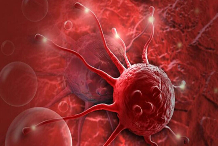 لن تصدق.. أجسادنا تحوي مفتاح القضاء على السرطان!