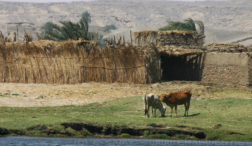 الفقر والجهل والمرض ثالوث يطارد الصعيد المنسي ..