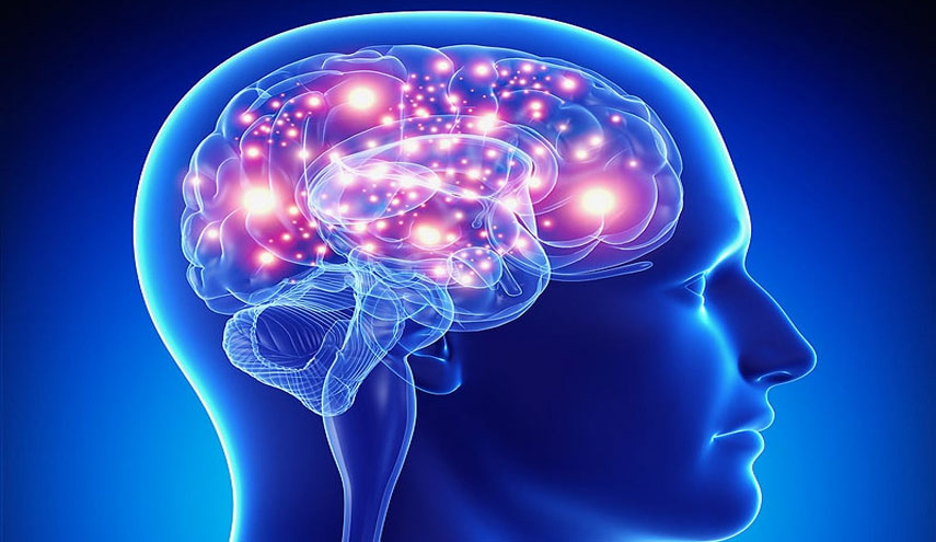 ماذا تفعل "غابا" في الدماغ؟