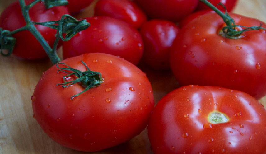 نتناولها يوميا ولكنها سامة .. احذروها!