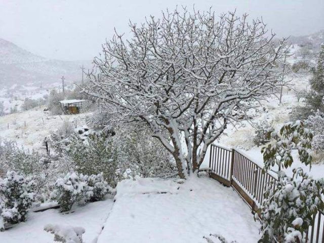 موجة الثلوج تجتاح هذه المناطق في العراق غدا