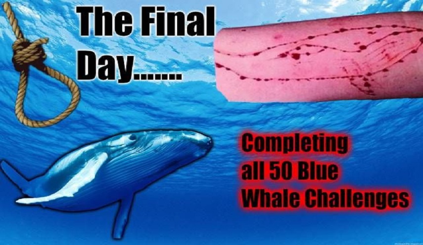 لعبة "الحوت الأزرق" تحصد أرواحا جديدة في الجزائر!