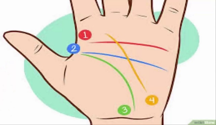 انظر الى كفّ يدك … واعرف اذا كنت "محظوظا" بقراءة هذا المقال!