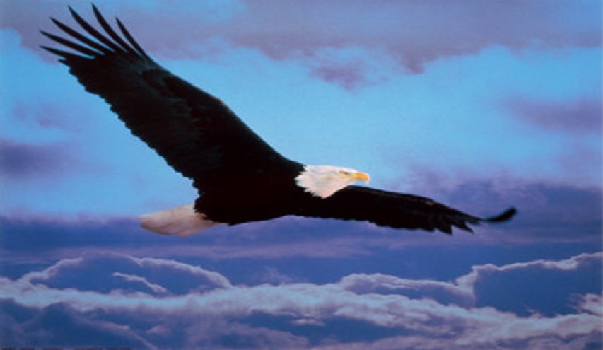 حرية "دمر و احرق وانهب واقتل فأنت حر"!