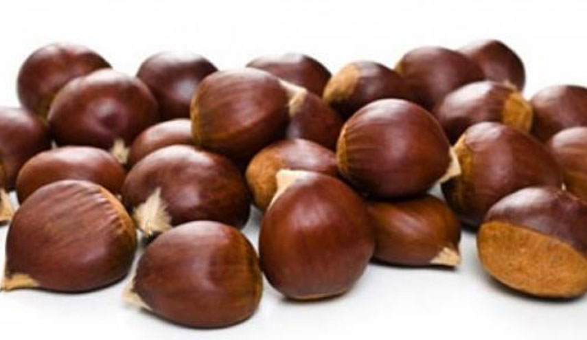 الكستناء للكشف عن السرطان!