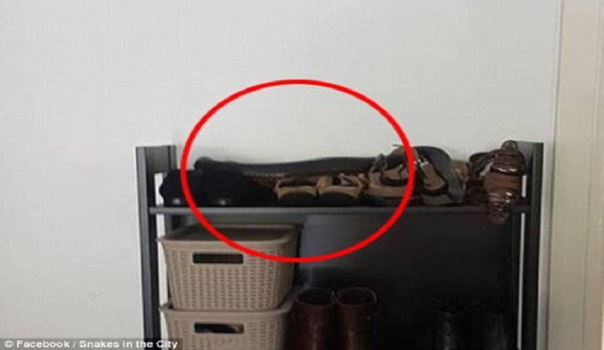  ما الذي يثير الرعب في هذه الصورة؟ 