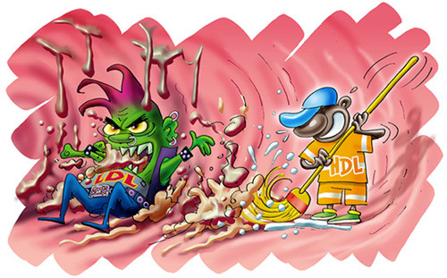 كل ما تريد معرفته عن الكوليسترول في الدم