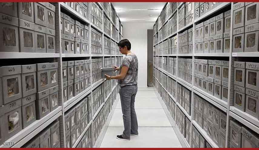 "جماجم شهداء الجزائر" تنتظر اطلاق سراحها من سجن باريس.. والعودة الى الوطن