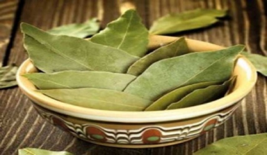 احرقوا ورق الغار في منزلكم... النتيجة مذهلة!