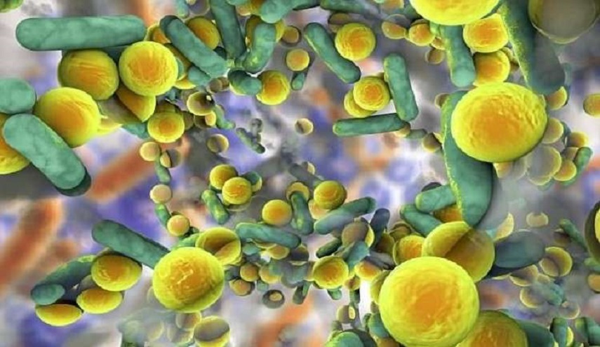 المضادات الحيوية خطر يعادل الاحترار العالمي والإرهاب