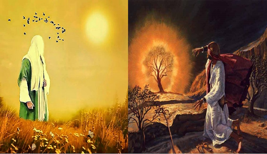 أوجه الشبه بين الموسوية و المهدوية 