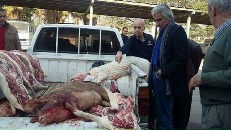 لحوم الخنازير تقترب من مطاعم القاهرة!
