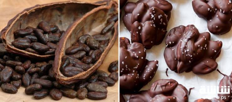  مفاجأة.. تناول هذه الأطعمة في وجبة واحدة يحرق دهونك!