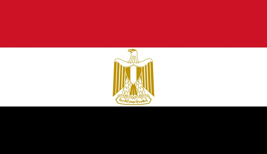 ماذا لو لم يبق سوى السيسي في سباق الانتخابات؟