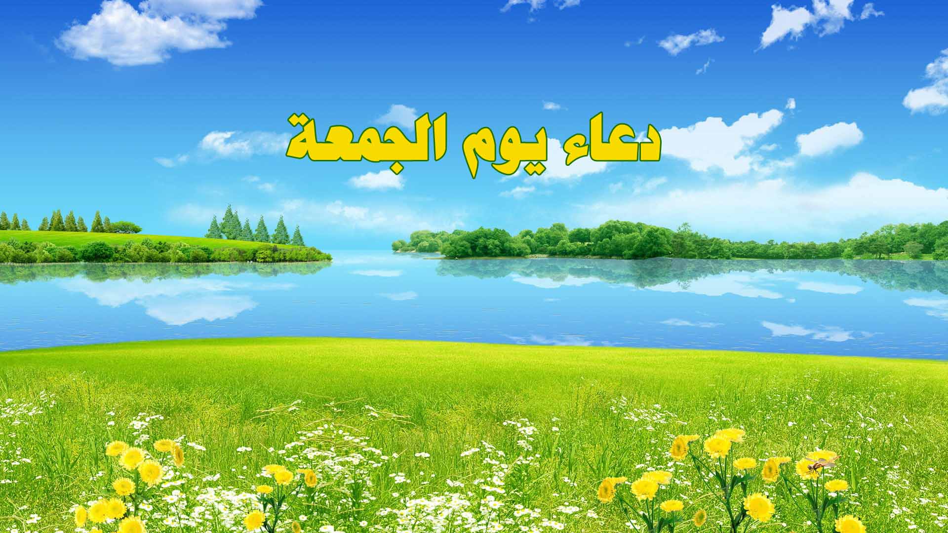 دعاء يوم الجمعة.. للإمام زين العابدين (ع) بصوت الشيخ موسى الأسدي