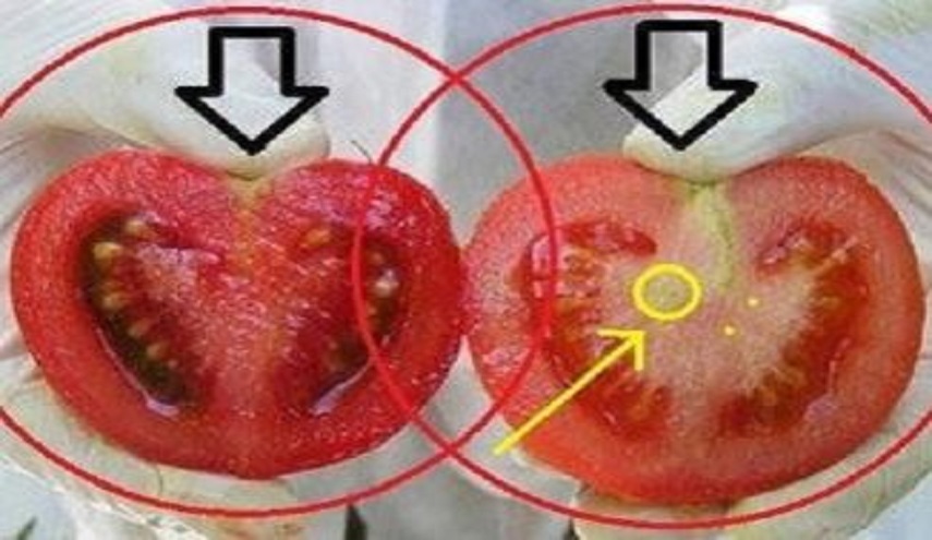 تحذير... نحن نأكل السم يوميا !